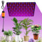Pflanzenlampe LED Vollspektrum 225 LEDs 1000W Pflanzenleuchte Hängend mit 4 Aufhängehaken Pflanzenlicht Anzucht Wachstumslampe LED Grow Light für Pflanzen Gemüse Blume (rot+blau)