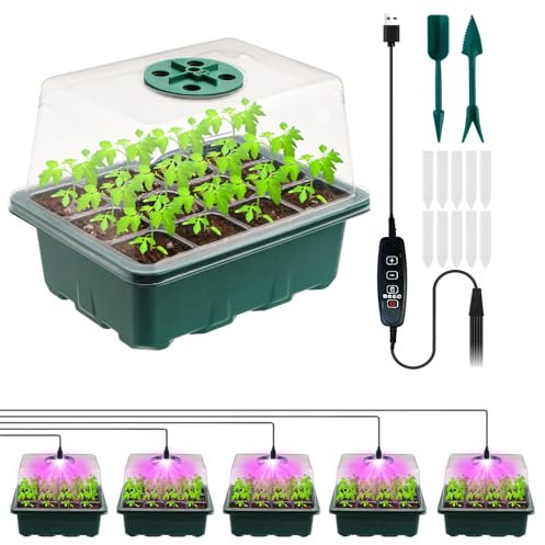 5 Stück Mini Gewächshaus mit erhöhten Deckel, Setzling Starter mit Pflanzenlichter, Gewächshaus Klein Grow Zubehör, Tabletts Treibhaus Anzuchtschale Zimmergewächshaus Anzuchtkasten Set (Green-A)