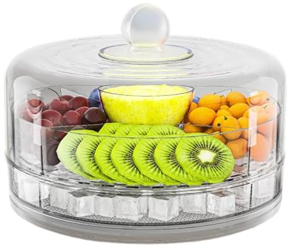 Fenayuu Vassoio refrigerato, vassoio refrigerante girevole con coperchio trasparente, 4 pezzi, multifunzione, per uso esterno, per picnic e feste di compleanno