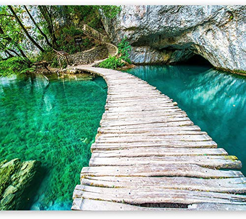 murando Fototapete selbstklebend Landschaft Brücke 343x256cm Foto Tapete Tapetenfolie Möbelfolie Wandverkleidung Wandtapete Motivtapeten Bildtapete Wohnzimmer 3d Effekt Modern Natur grün 101103-4
