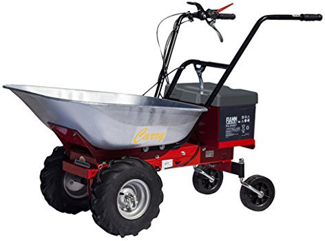 EUROSYSTEMS Carry MOTOCARRIOLA SEMOVENTE A Doppia Batteria (300 W-24 V) - Made in Italy