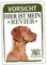 Magyar Vizsla Schild Revier Jagd Türschild Hundeschild Warnschild Hund Hungarian Pointer Geschenkidee lustiger Spruch Hundemotiv Aluminium Wetterfestes Hundeschild