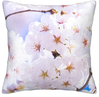 Federa per cuscino quadrata con fiori di ciliegio rosa, 45 x 45 cm