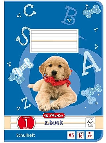 Herlitz 3320108 Schulheft, DIN A5, Lineatur 7/kariert