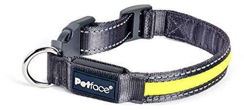 Petface (Outdoor Paws by Petface) Flashing Yellow Reflective Dog Collar, Medium | High Visibility, Durable Materials, Adjustable Fit, Easy Clip Attachment, Comfortable for Daily Wear