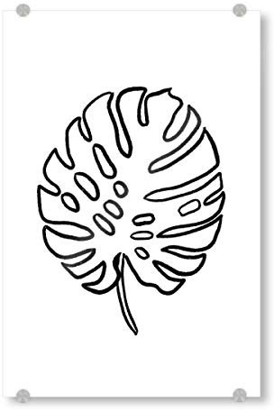 artboxONE Acrylglasbild 150x100 cm Floral Monstera Sketch Bild hinter Acrylglas - Bild Monstera Monstera Sketch