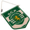Sporting Lissabon Wimpel, Grün, 18cm x 10cm, Officially Licensed