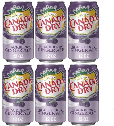 Murai Kanada Dry Blackberry Ginger Ale | (6er-Pack) 30,5 ml Urlaubs-Getränkemixer-Set, ideal für Zuhause und Büro, Kühlschrank-Auffrischung, fügen Sie Ihrem Snack-Pflegepaket ein Geschenkgetränk