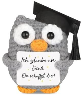 Gestrickte Eule Positive Geschenke, hochwertiges Kuscheltier, Mutmacher Geschenk, für Beste Freund Kollegen Frauen Männer, Anti Stress Geschenke Glücksbringer, ab 1 Jahr empfohlen