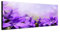 Wandbild auf Leinwand als Panorama in 120x40cm Glockenblumen Blüten lila