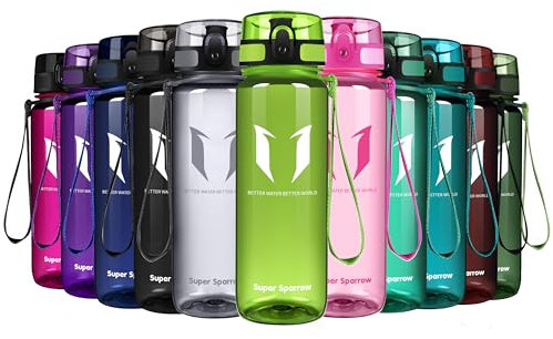 Super Sparrow Bouteille d'eau - Gourde - 500ml - sans BPA - Convient pour Le Sport, la randonnée, l'école, Le Bureau, en Plein air