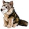Teddys Rothenburg Kojote Kuscheltier Wolf sitzend 40 cm Plüschtier