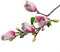 Magnolien-Orchidee, einzelner Zweig, Magnolie, künstliche Blumen-Dekoration, weiß, gelb, für rosa (für Rosa)