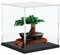 DuvinDD Acrylic Display Case for LEGO Botanicals Bonsai Tree 10281,Clear Acrylic Display Box for Collectibles Dustproof Protection Showcase(25x25x25cm,Black Base)