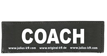 Interchangeable Patches, 1 pair, COACH, Size: Small, Black