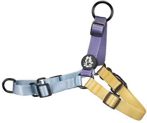 Rino & Joe Pettorina Anti-Tiro Regolabile per Cani di Media e Grande Taglia | Doppio Gancio Anti-Tiro | Molto Resistente | Chiusura di Sicurezza | Controllo Durante le Passeggiate, FRESH, M