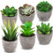 Frasheng 6 Piezas de Plantas Suculentas Artificiales en Macetas,Verdes, Mini Planta Artificial Decorativa, para Oficina,Decoración del Hogar
