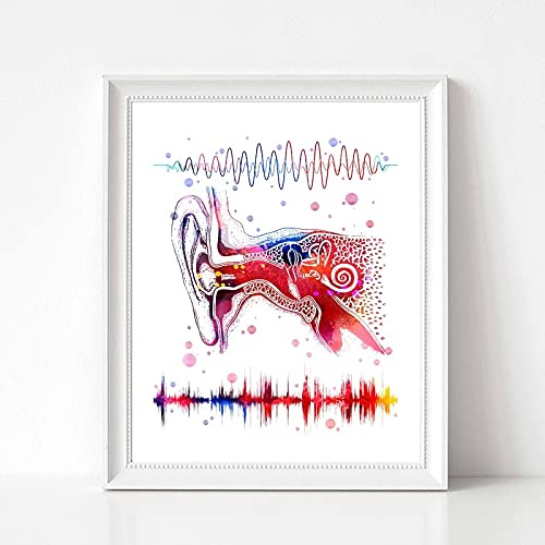 Leinwand Wandkunst Ohrsystem Medizinische Anatomie Leinwand Poster Drucke Binaurales Hören Art Audio Wave Malerei Klinik Arzt Bürodekoration Rahmenlos