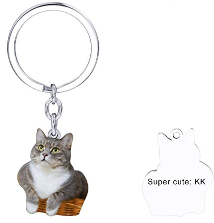 MeMeDIY Porte-clés Personnalisables Chat Chien Animaux Photo avec Gravure Nom Acier Inoxydable Amoureux des Animaux Mémorables Cadeau Anniversaire Femme