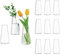 Glasseam Petit Vase en Verre pour Mariage: Mini Vase à Fleurs Lot de 12 pour Centre De Table Décoration De Salon - Vases Décoratifs Transparents pour Plante Fleurie Amaryllis Rose