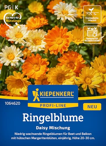 Kiepenkerl Ringelblumensamen Daisy Mischung 1064620, Sommerblumensaat