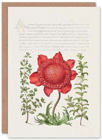 Artery8 Model Book of Calligraphy Art Card Poppy Anemone and Myrtle