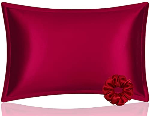 DISANGNI Kissenbezug aus 100 % Maulbeerseide, für Haar und Haut, Umschlag-Typ, eine Seite ist aus echter Seide, die andere Seite ist Tencel, 1 Stück (Rotwein, Queen (50x75 cm))