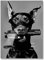 Hypebeast Modern Schwarz Weiß Dobermann Waffe Luxus Mode Poster Drucke Leinwand Malerei Wandkunst Bild Zimmer Wohnkultur (Color : A, Size : 60x90CM No Frame)