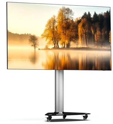 XTRARM Proton 100 mobiler TV Ständer Rollbar,Steckerleiste mit USB Anschluss, TV ca. 32-75 Zoll / 40 kg, Variable Höhe bis ca. 135 cm, Höhenverstellbarer Fernsehständer mit Rollen, Silber TV-Standfuss