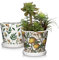 Oairse Set of 2 Ceramic Planter 14CM Ceramic Plant Pots Indoor with Drainage Holes and Saucers Tray Decorative Flower Pots Garden Pot for Succulent Cactus House Plants - Green, Yellow