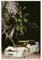 ZKAWE Poster su tela, motivo: Travis Scott, cactus Jack Jackboys, decorazione per camera da letto, sport, ufficio, stanza, regalo, senza cornice, 30 x 45 cm