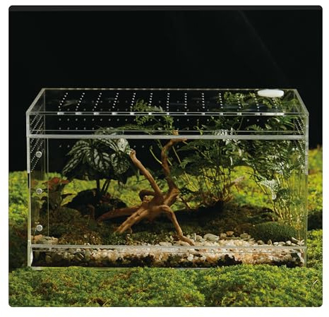 Acryl-Terrarium für Reptilien & Spinnen - kleines/mittelgroßes/großes auslaufsicheres Gehege (horizontal/vertikal) | Ideal für Vogelspinnen, Springspinnen, Frösche & Geckos (Large HORZ)