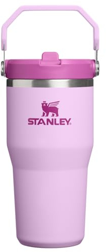 STANLEY Unisex's The IceFlow Flip Straw Jug | Easy Carry Handle | Twist On Lid and Flip Up Straw | Leakproof Water Bottle | Insulated Stainless Steel | BPA-Free