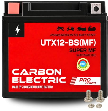 GEL Motorradbatterie 12V Wartungsfrei Versiegelt Akku für Motorrad Roller Quad ATV Scooter Batterie – Verschiedene Modelle (10Ah YTX12-BS)