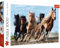 Trefl 916 10446 Die gallopierenden Pferde EA 1000 Teile, Premium Quality, für Erwachsene und Kinder ab 12 Jahren 1000pcs Horses, Coloured, Farbig