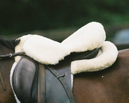Engel Reitsport | Sattelsitzbezug Sattelauflage echtes Merino Lammfell SABEZ1-M-WEI für englische Reitsattel weiß Größe M