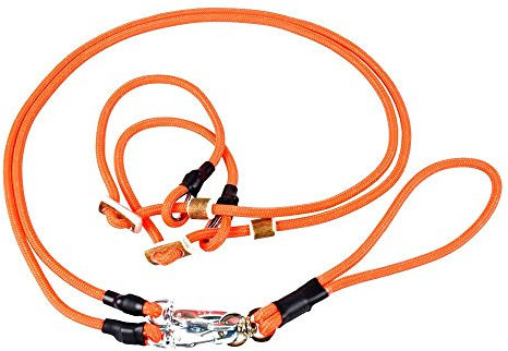 Doppelleine Moxonleine für Zwei Hunde gleichzeitig | Retrieverleine mit Zugstopp (orange)