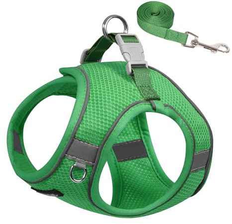 AIITLE Puppy Harness and Leash Set for Walking, Step in Dog Harness, Soft Breathable Pet Supplies, Reflective Bands, for Extra Small Dogs and House Cats Green XXXS