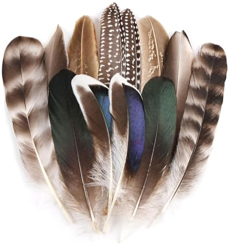 Muorruo 12 Stück Naturfasanfedern, Federn in 6 verschiedenen Ausführungen für DIY-Bastelarbeiten wie Hüte, Blumenarrangements, Halloween, Karneval, Traumfänger und Dekorationen