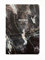 Papel de Piedra - Notizbuch A5, wasserdicht, umweltfreundlich, Stone Paper Writers (schwarz)