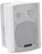 OMNITRONIC WP-5W ELA-Wandlautsprecher | 2-Wege-Lautsprecher mit Halterung, 100 V, 30 W RMS