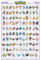 ABYSTYLE Pokémon Sinoh 61 x 91,5 cm / 24,2 x 35,8 Zoll Maxi-Poster – Gerollt geliefert – Kunstposter – Wandposter – Poster & Drucke | Pokémon Merchandising