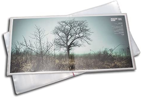 Protected Doppel LP Schutzhüllen aus PE (50 Stück)