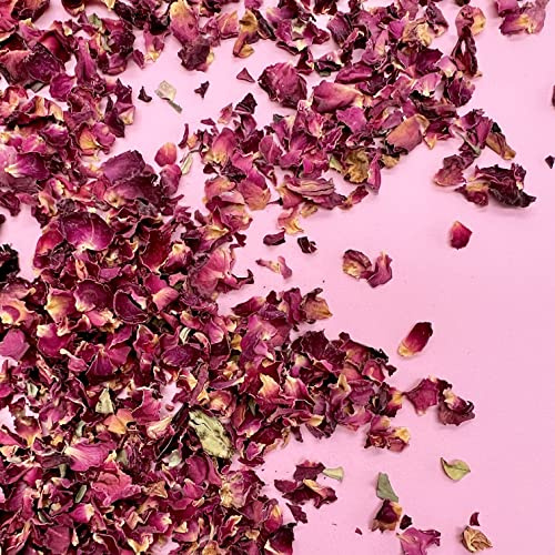 Biodegradable Burgundy Rose Petal Wedding Confetti – 1 Litre of Organic, Natural Dried Flowers Wedding Decorations, Table Confetti, Aisle Sprinkles | Dollz Confetti, Ivory (NMPFF)