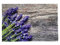 texpot 2 Stück Platzdeckchen 30 x 45 aus 100% Polyester Lavendel auf Holz Holzbrett braun