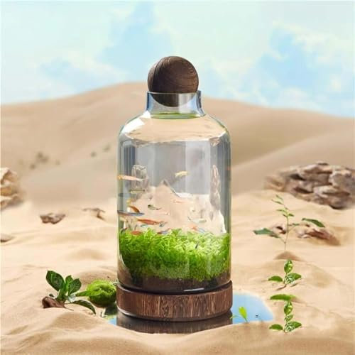 FkYstrix Bouteille en verre écologique pour aquarium avec base en bois et couvercle moderne de qualité supérieure - Décoration de bureau - B