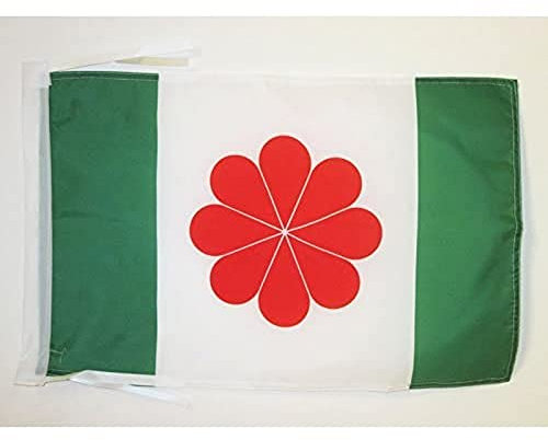 AZ FLAG - Flagge Taiwan Unabhängigkeits - 45x30 cm Mit Kordel - Nationalisten Fahne 30 x 45 Cm - Flaggen