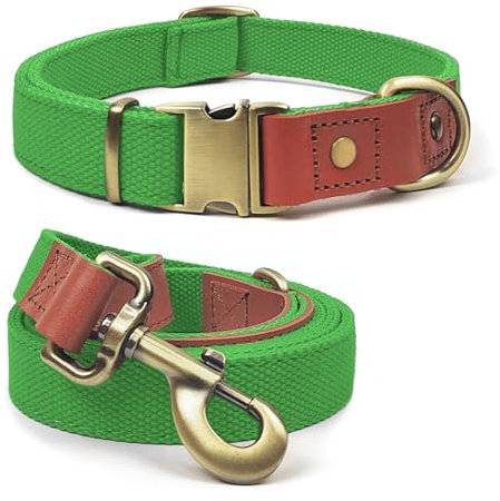 Qianruida Hundehalsband und Leine Set Hunde Halsband und Leine Verstellbares Hundehalsband Hundehalsbänd Leine für Kleine Mittlere Große Hunde- Neongrün,XL