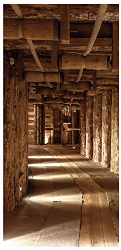 Bilderwelten Raumteiler Alte Goldmine 250x120cm ohne Halterung