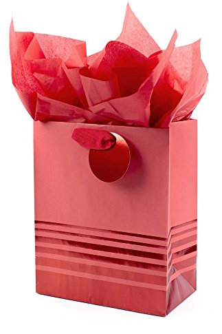 Hallmark 5WDB2115 Gift Bag Geschenkbeutel, Papier, Mittlere rote Streifen